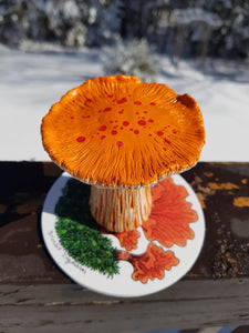 Mushroom Bottle Sculpture - Orange Ridge - 2g